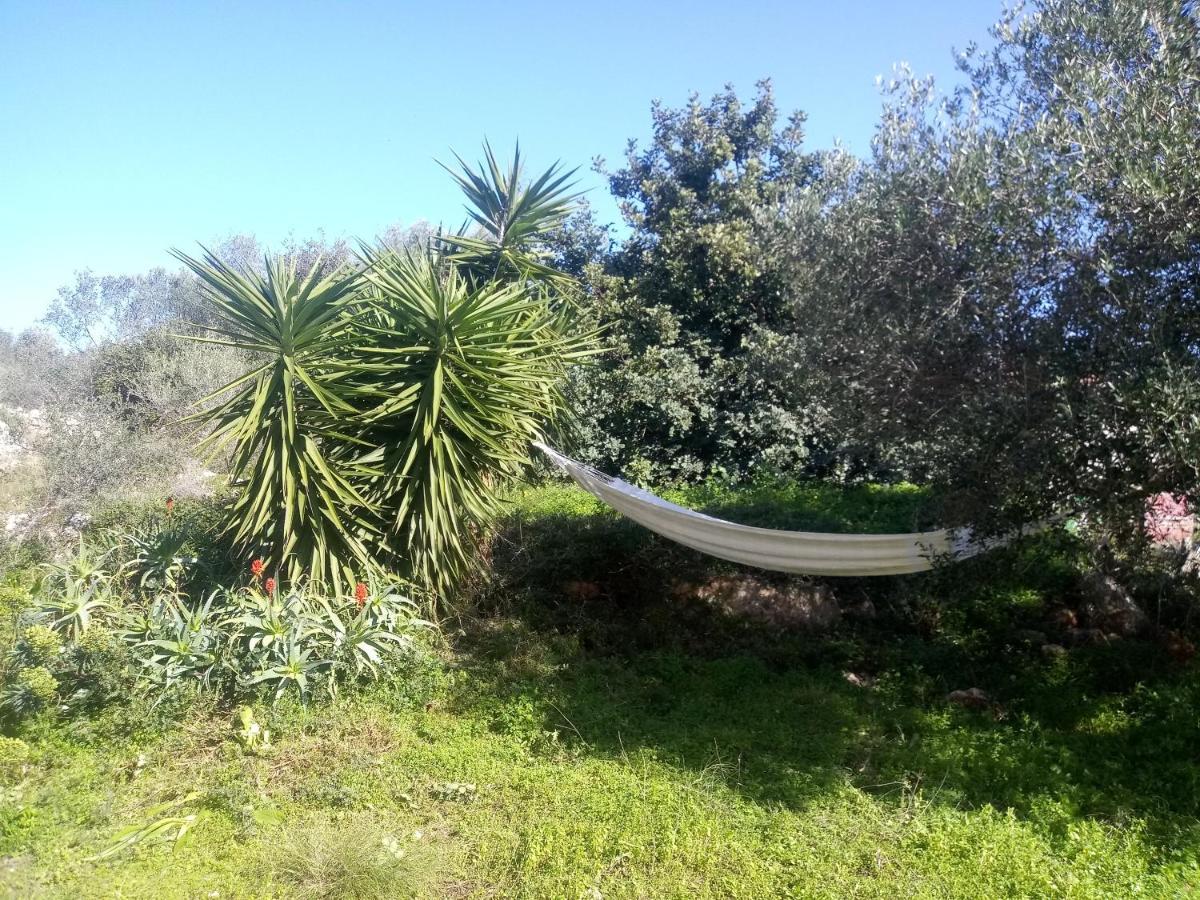 Manolo S Olive Farm, Apartment With Seaview Χανιά Εξωτερικό φωτογραφία