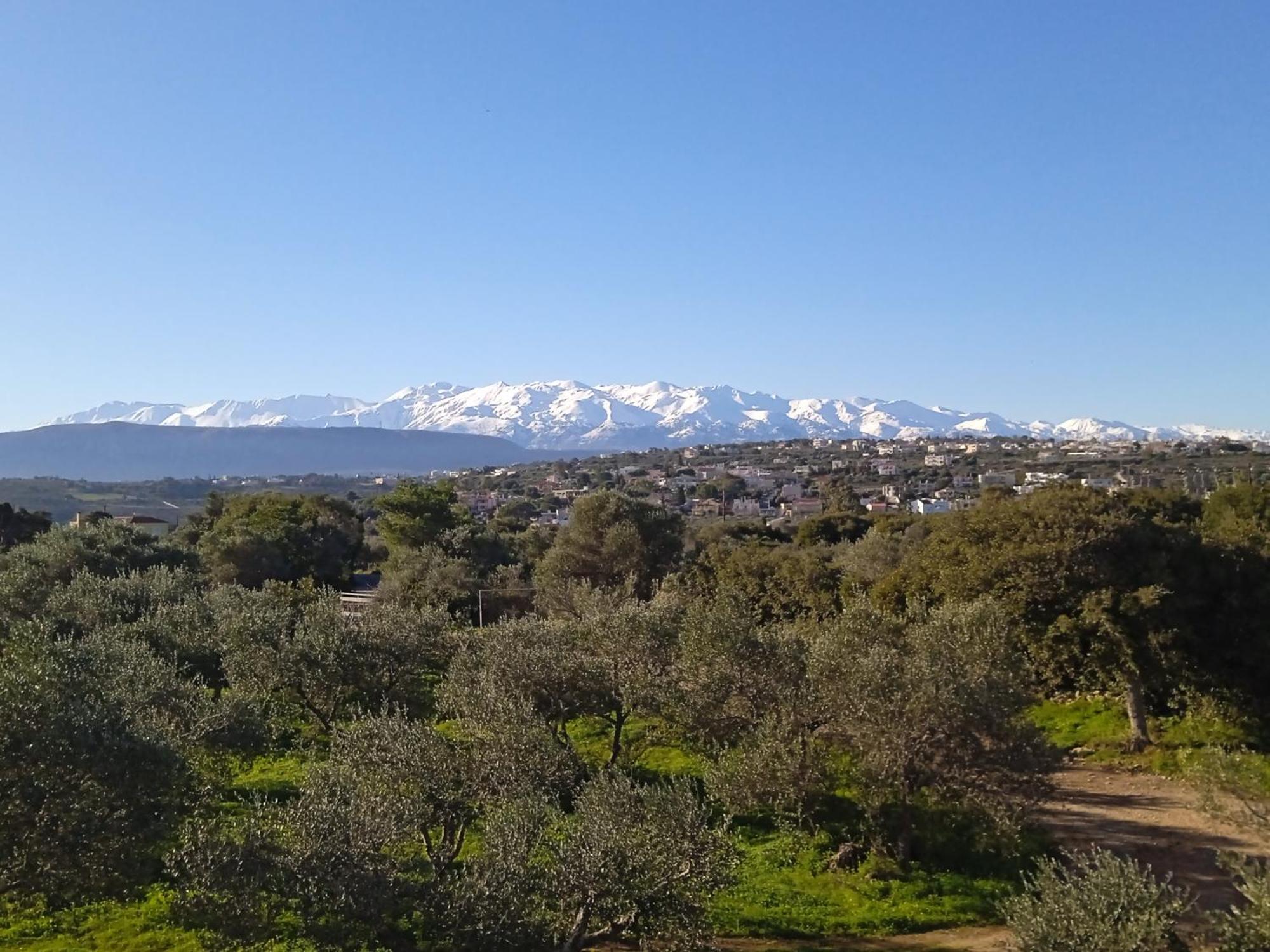 Manolo S Olive Farm, Apartment With Seaview Χανιά Εξωτερικό φωτογραφία